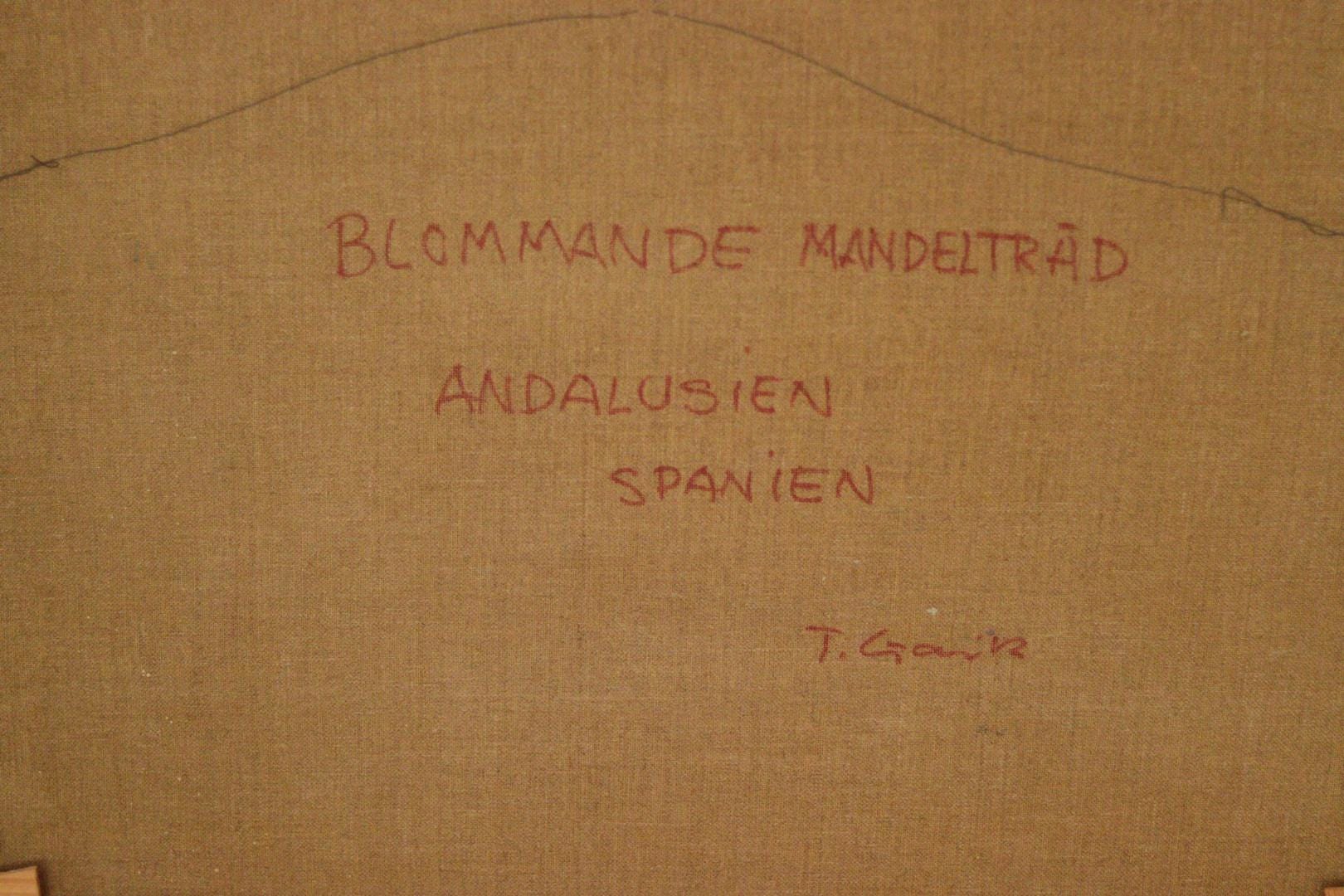 “Blooming Almond Tree, Andalusia, Spain” by Tage Gavik