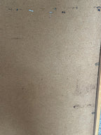 Whispers of the Forest