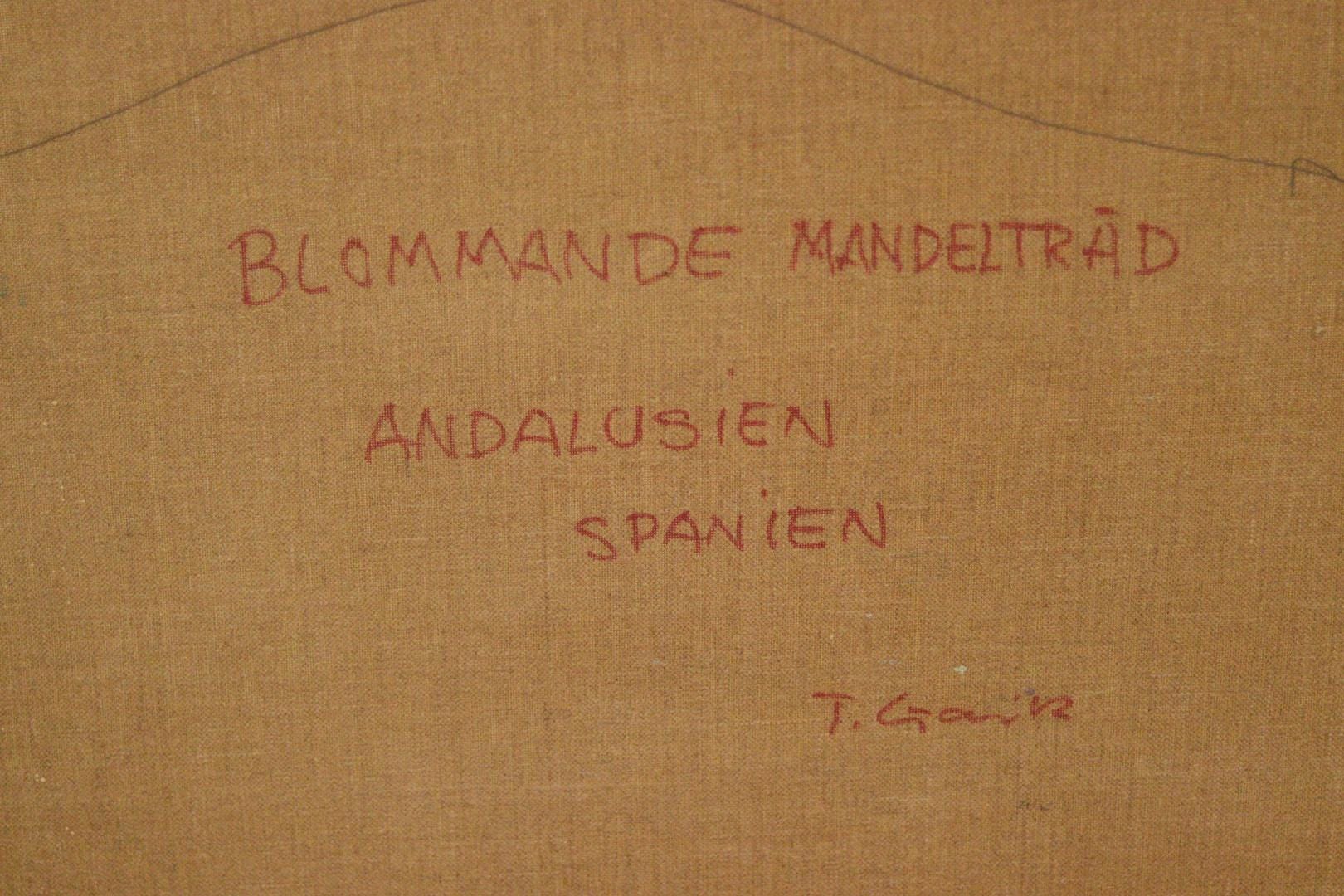 “Blooming Almond Tree, Andalusia, Spain” by Tage Gavik