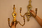Pair of Antique  Brass Sconces